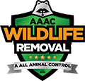 Middleton Wildlife Removal